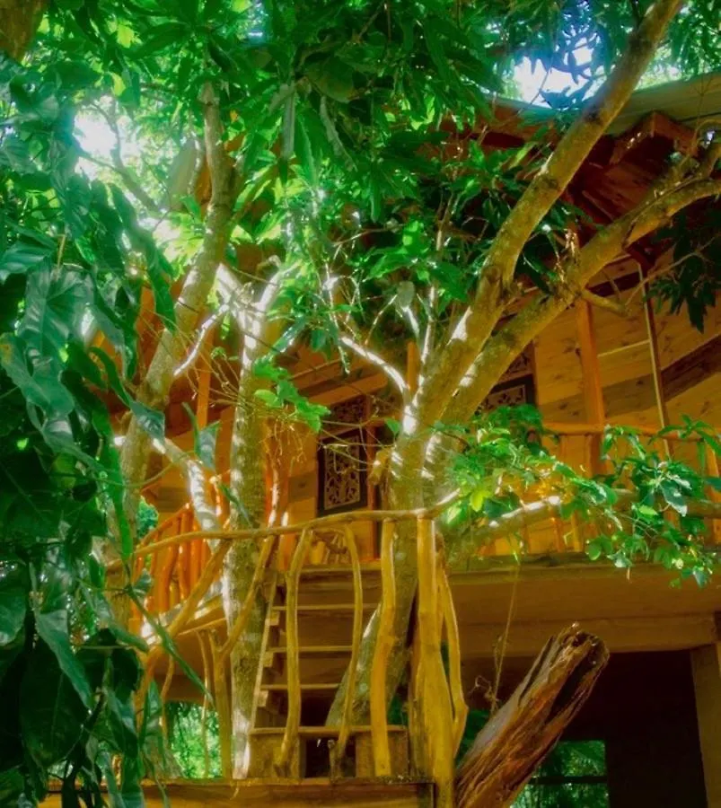 Dudley Nature Resort Habarana Bed & Breakfast