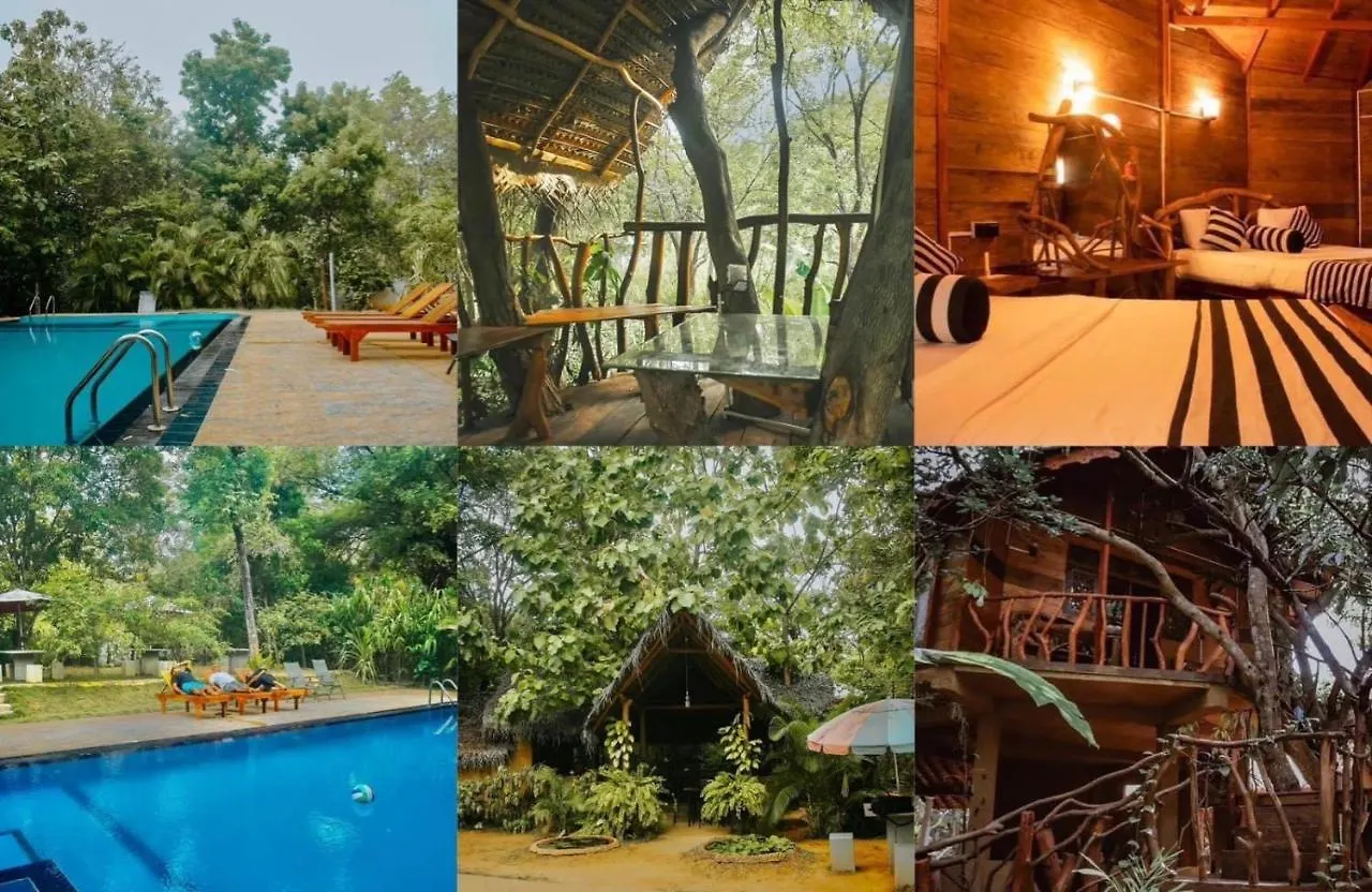 Dudley Nature Resort Habarana Panzió