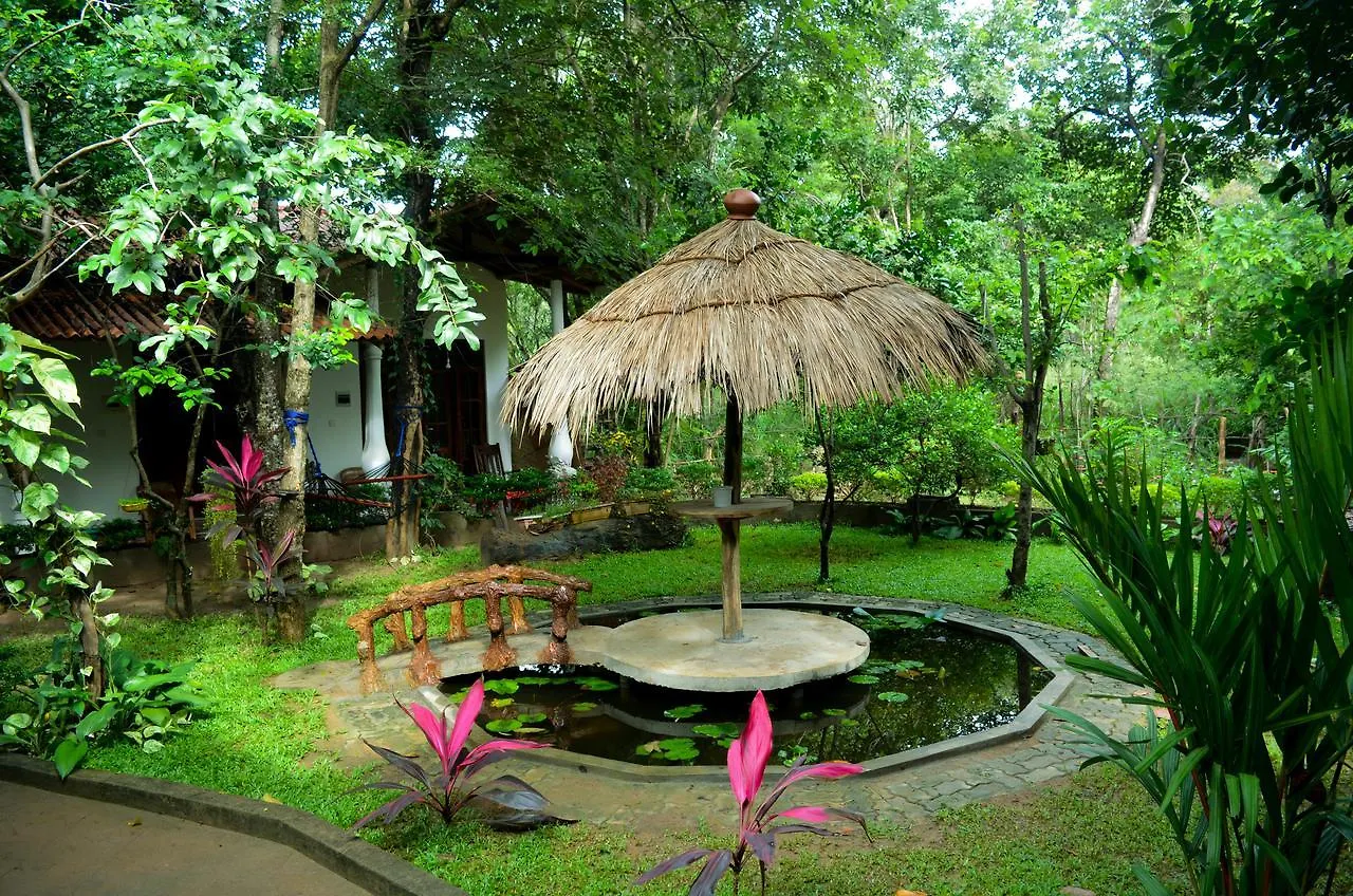 Dudley Nature Resort Habarana Srí Lanka